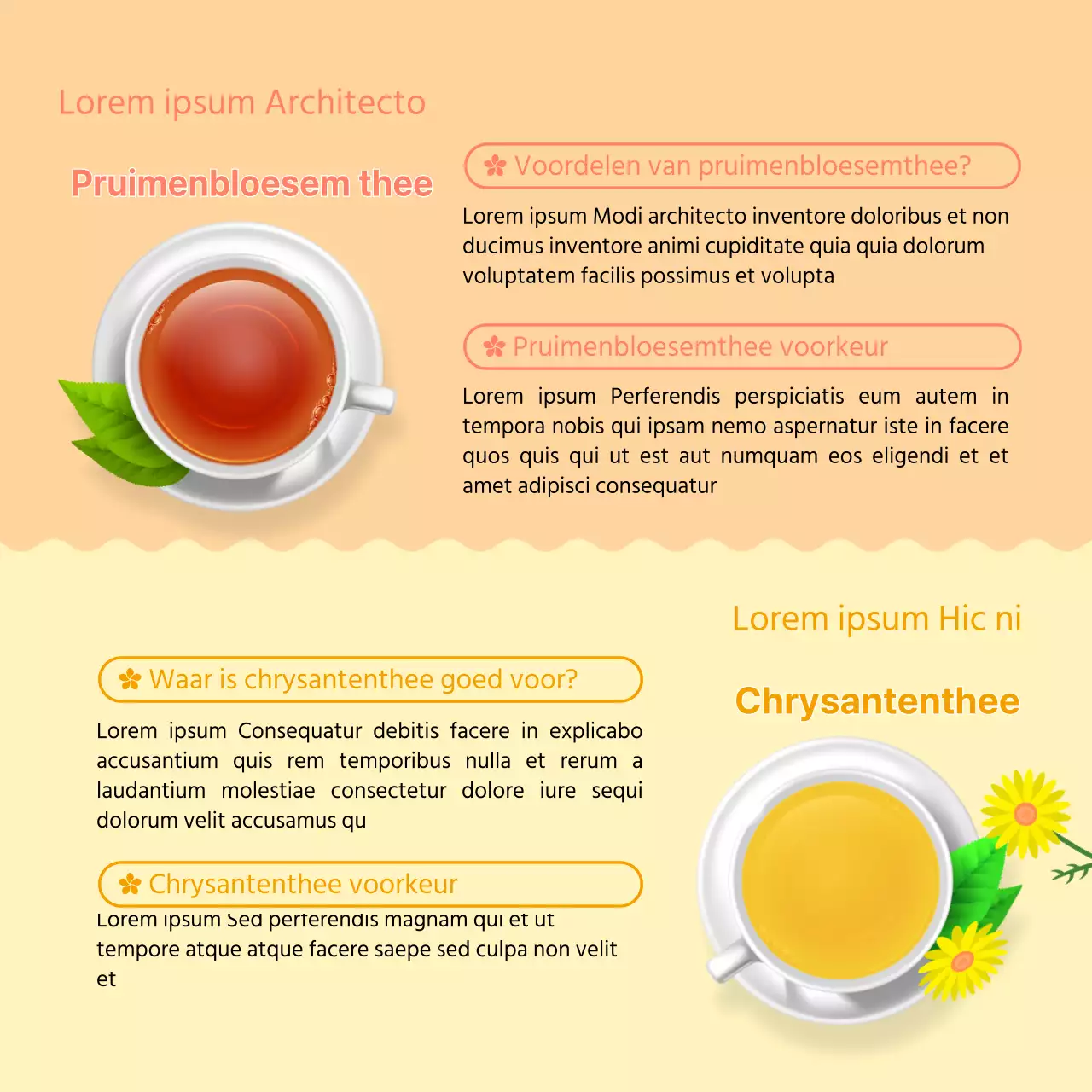 Frisse, gele illustraties geven informatie over lentebloemen.