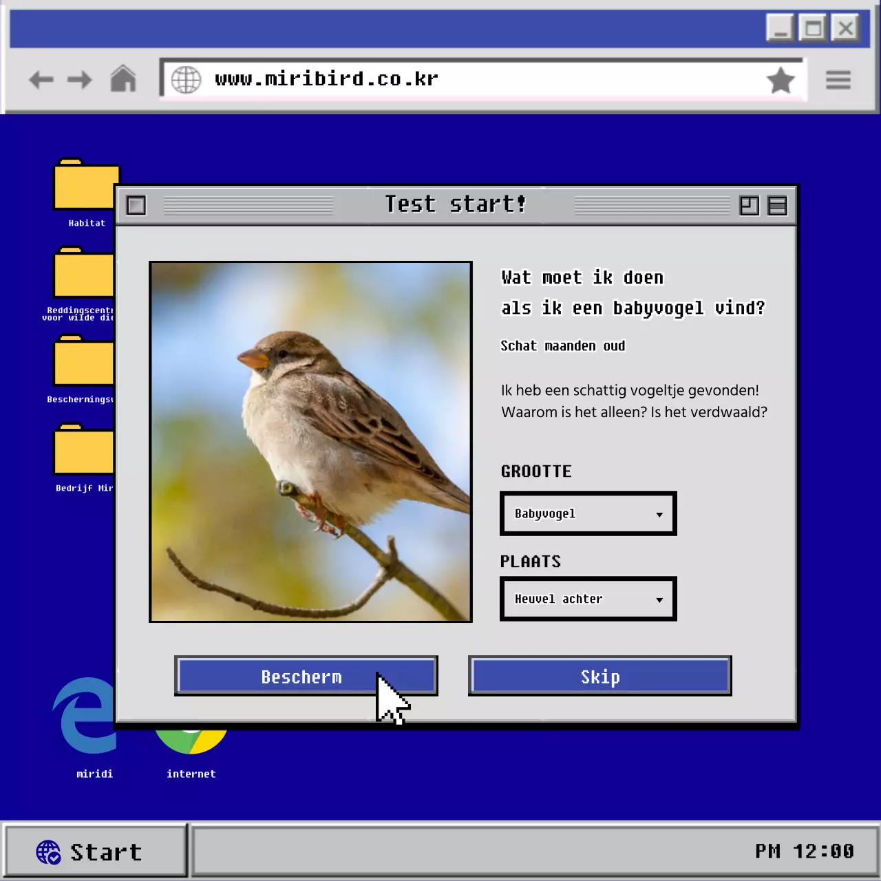 De oude blauw met grijze computer babyvogel CardNews