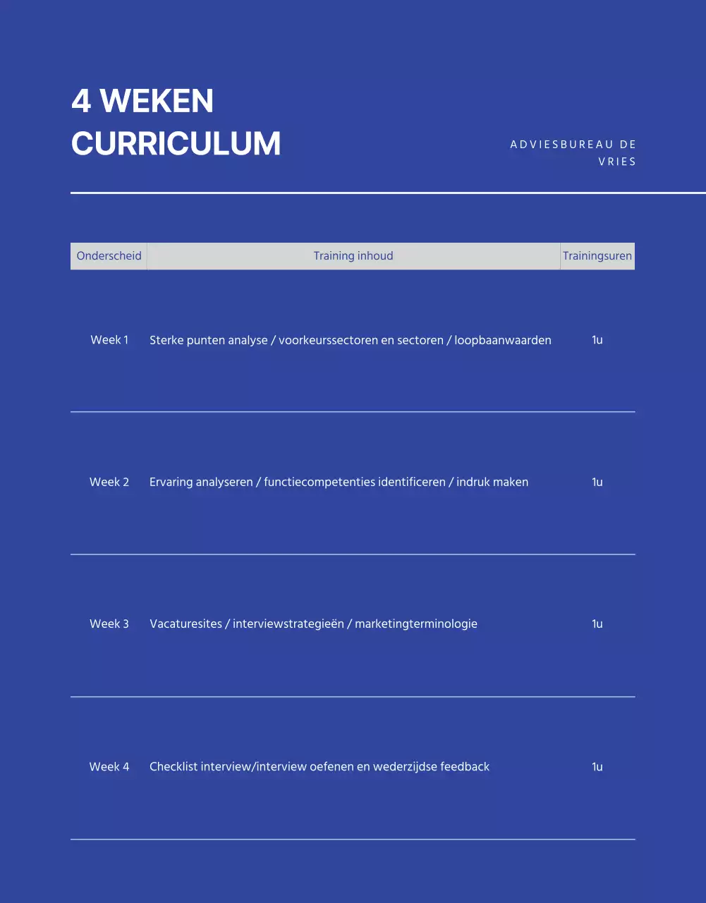 Blue and Monotone sollicitatiegesprek detailpagina