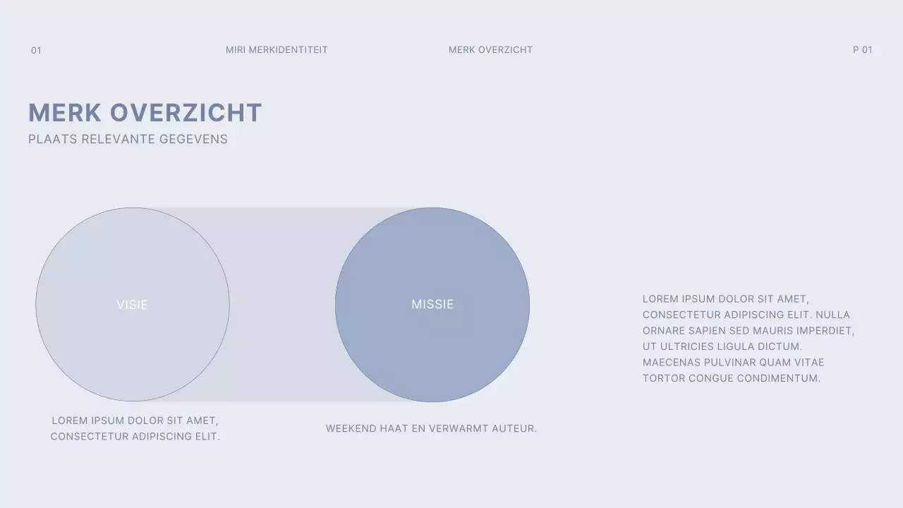 donkergrijs lichtblauw rasterconcept eenvoudige merkrichtlijn
