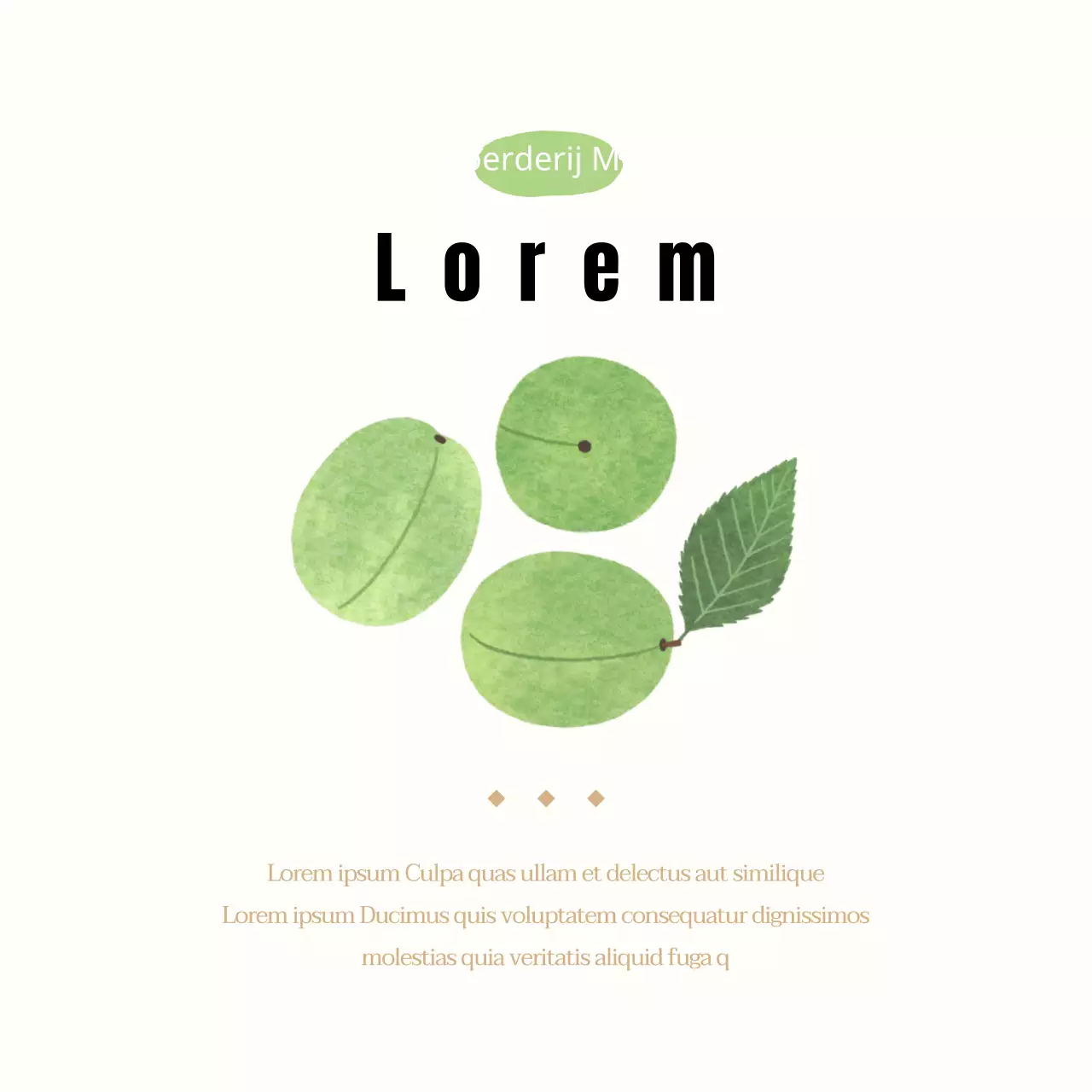 Geïllustreerde Plum Blossom ansichtkaart