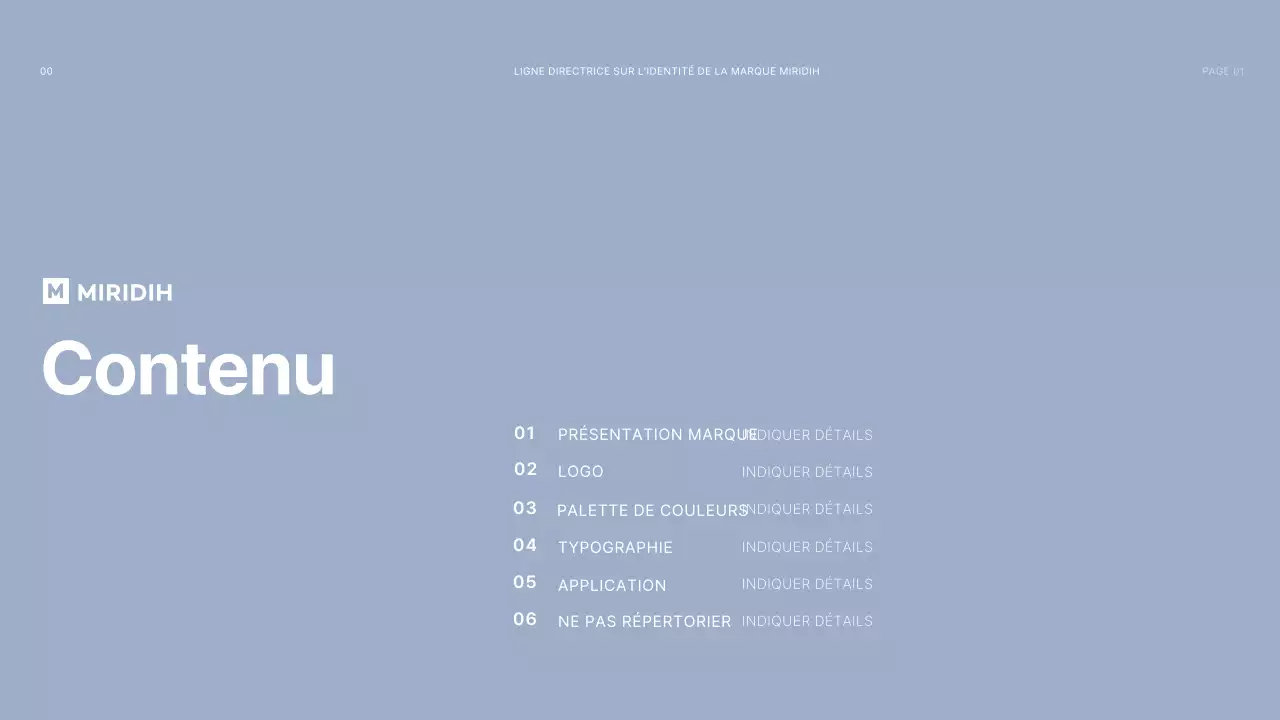 gris foncé bleu clair gridconcept simple branding guideline