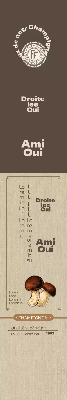 Coffret de champignons traditionnels bruns