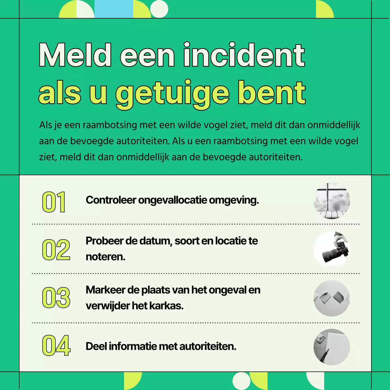 Groene en geometrische informatie ter voorkoming van botsingen met wilde vogels (Card News)