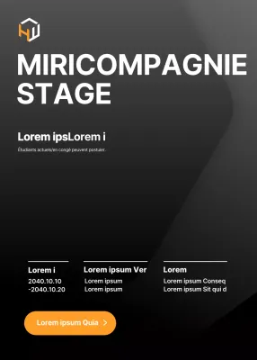 Poste de stagiaire pour une entreprise de classe en noir et gris