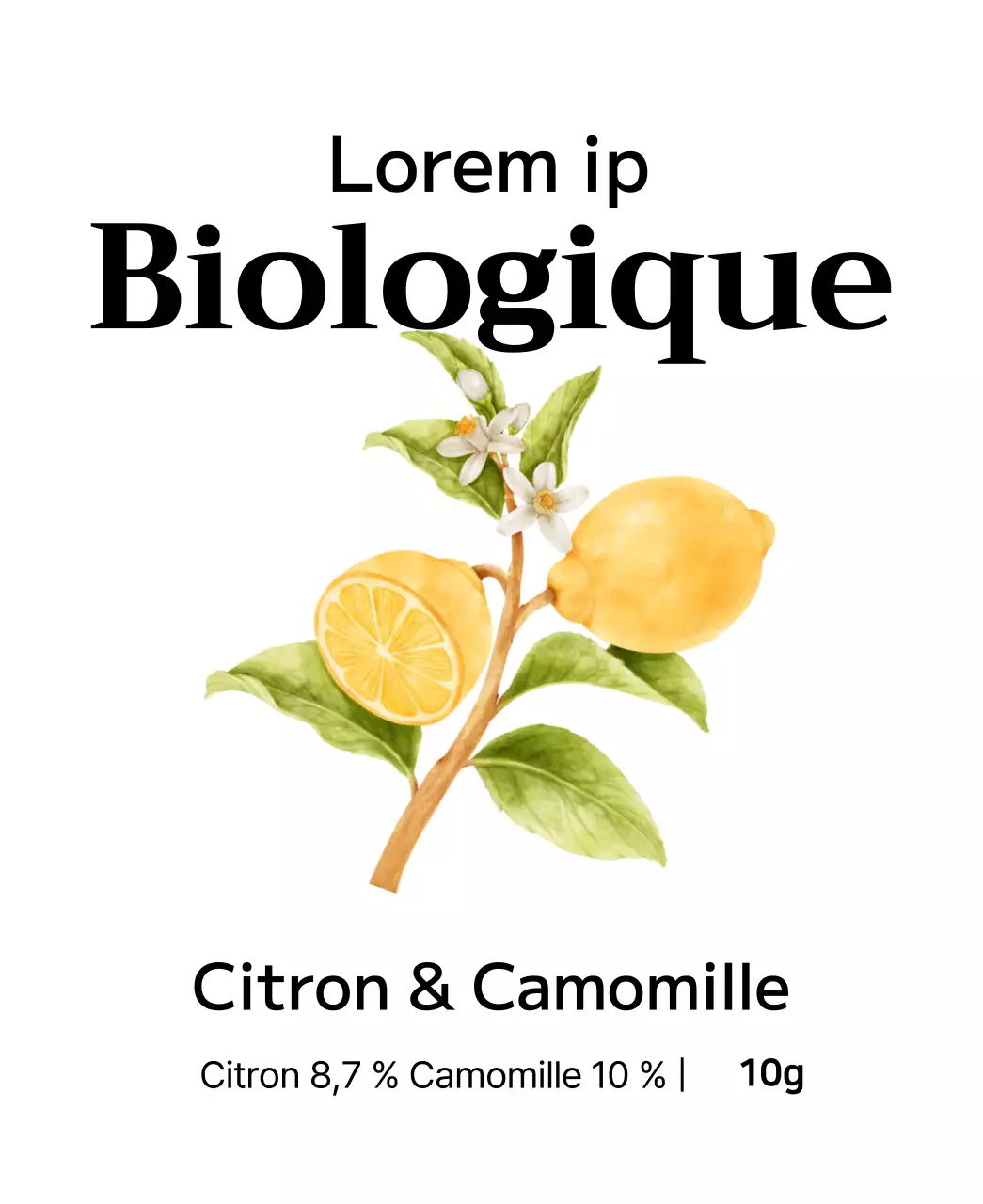 Sachets de thé aux fruits biologiques avec illustrations de fruits à l'aquarelle