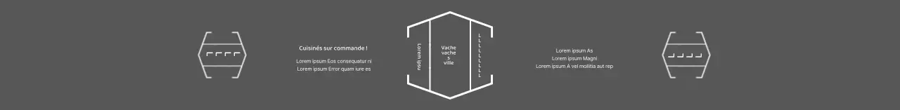 Boîte à bento japonaise simple grise