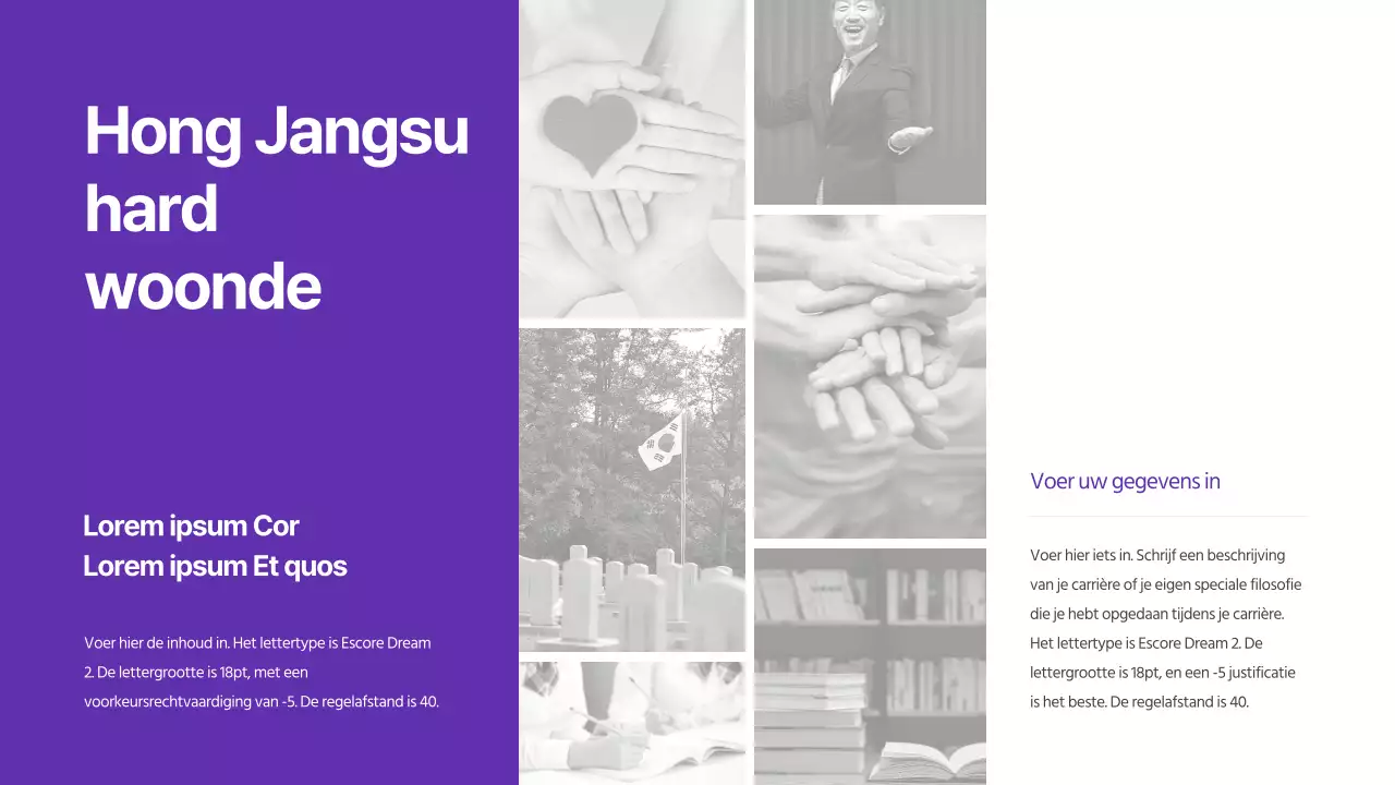 Presentaties voor verkiezingen