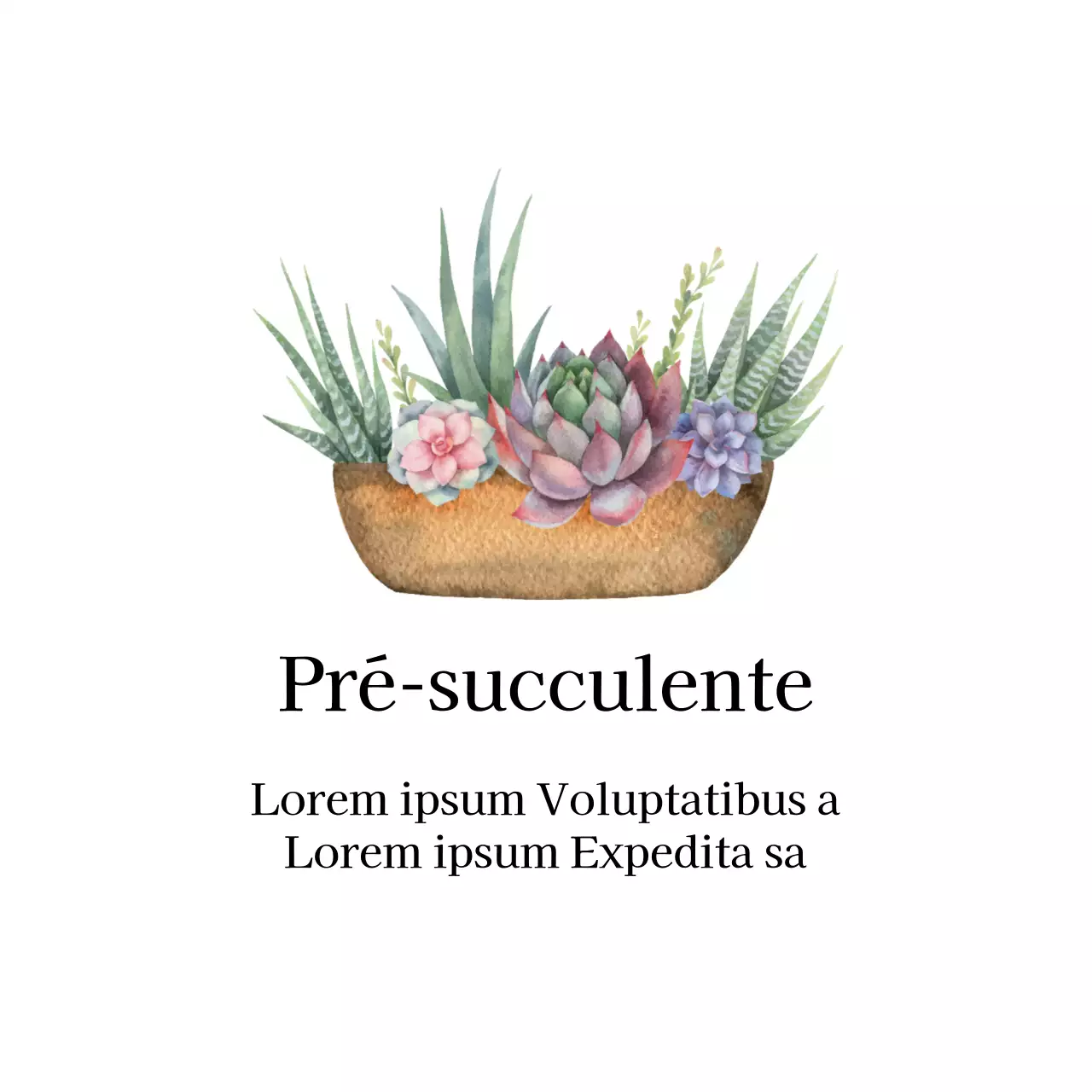 Étiquettes de jardin botanique propres et illustrées en blanc