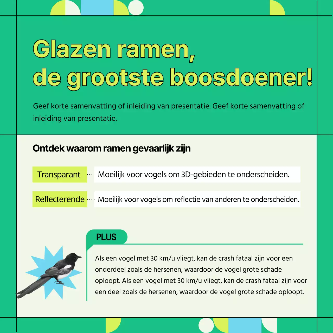 Groene en geometrische informatie ter voorkoming van botsingen met wilde vogels (Card News)