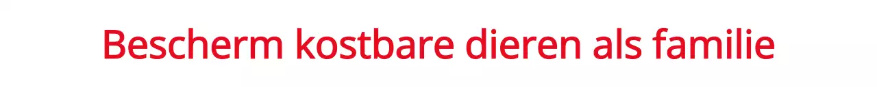 Een evenement promoten met een dierenwelzijnsorganisatie in het rood.