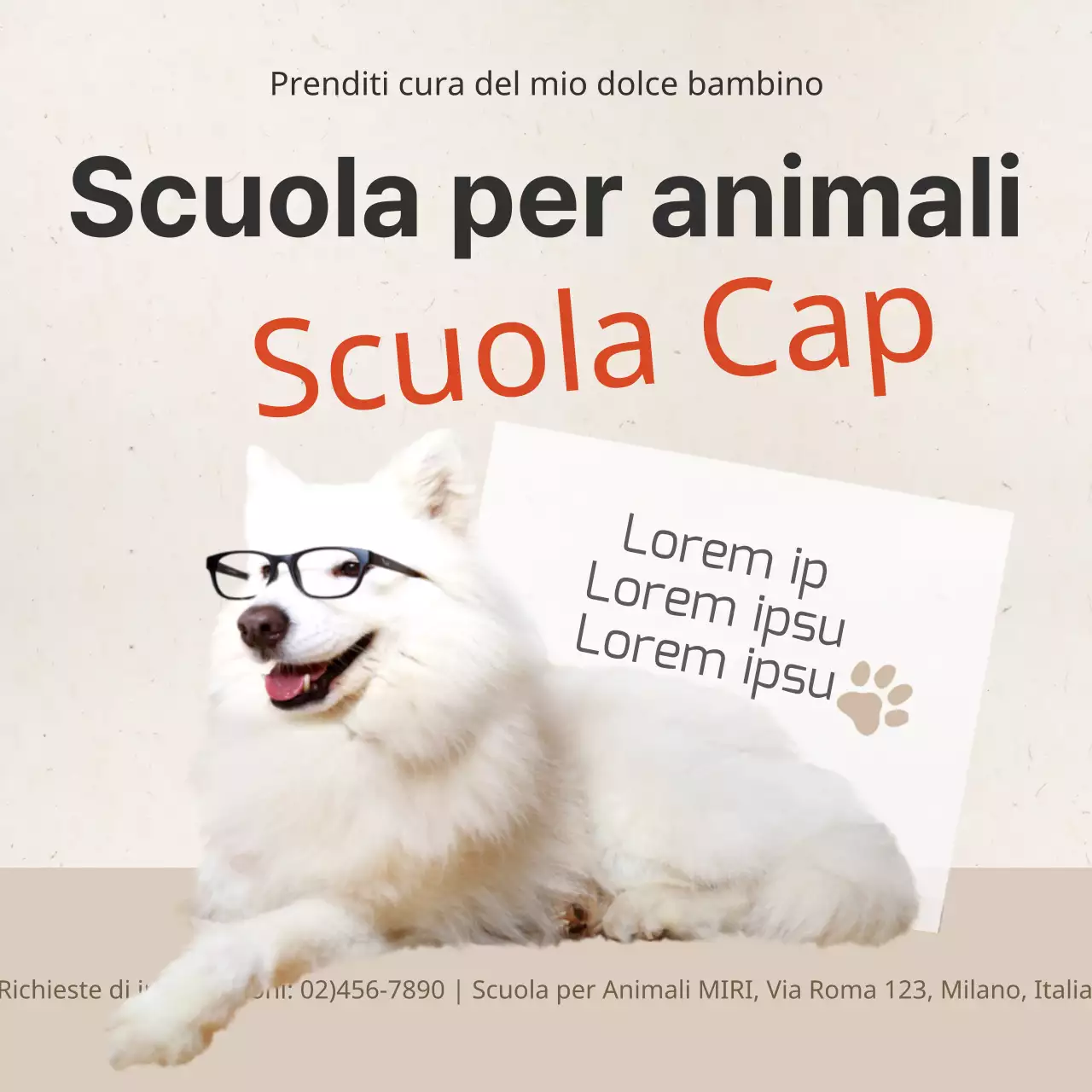 Scuola per animali domestici