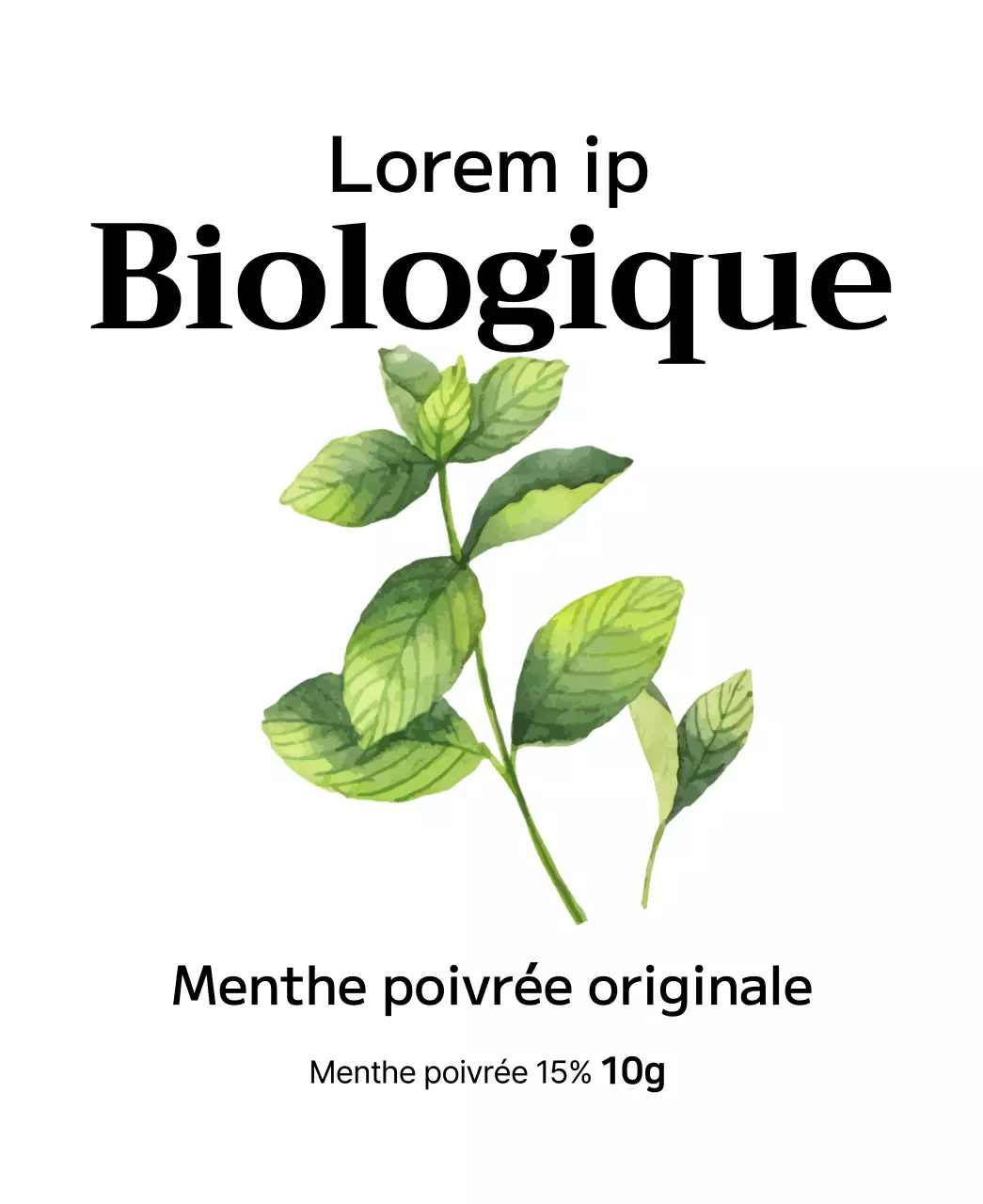 Sachets de thé aux fruits biologiques avec illustrations de fruits à l'aquarelle