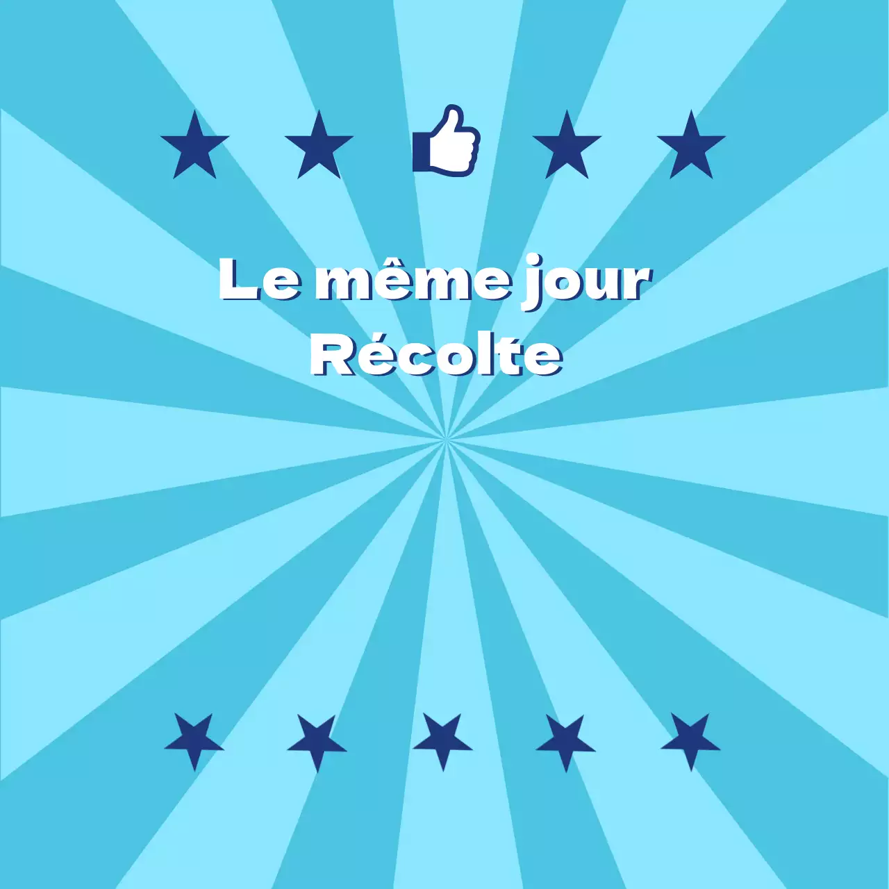 Produits_Récolte quotidienne