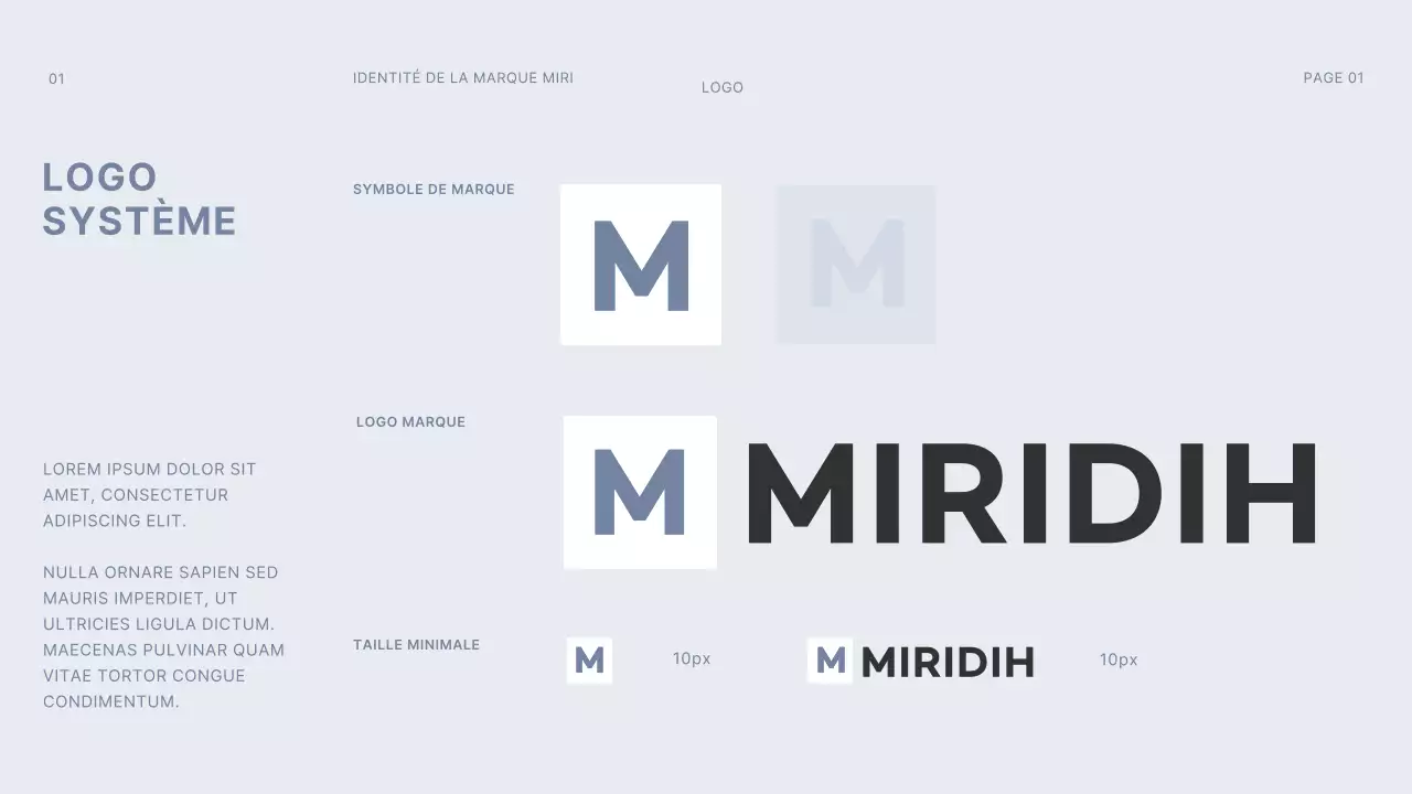 gris foncé bleu clair gridconcept simple branding guideline