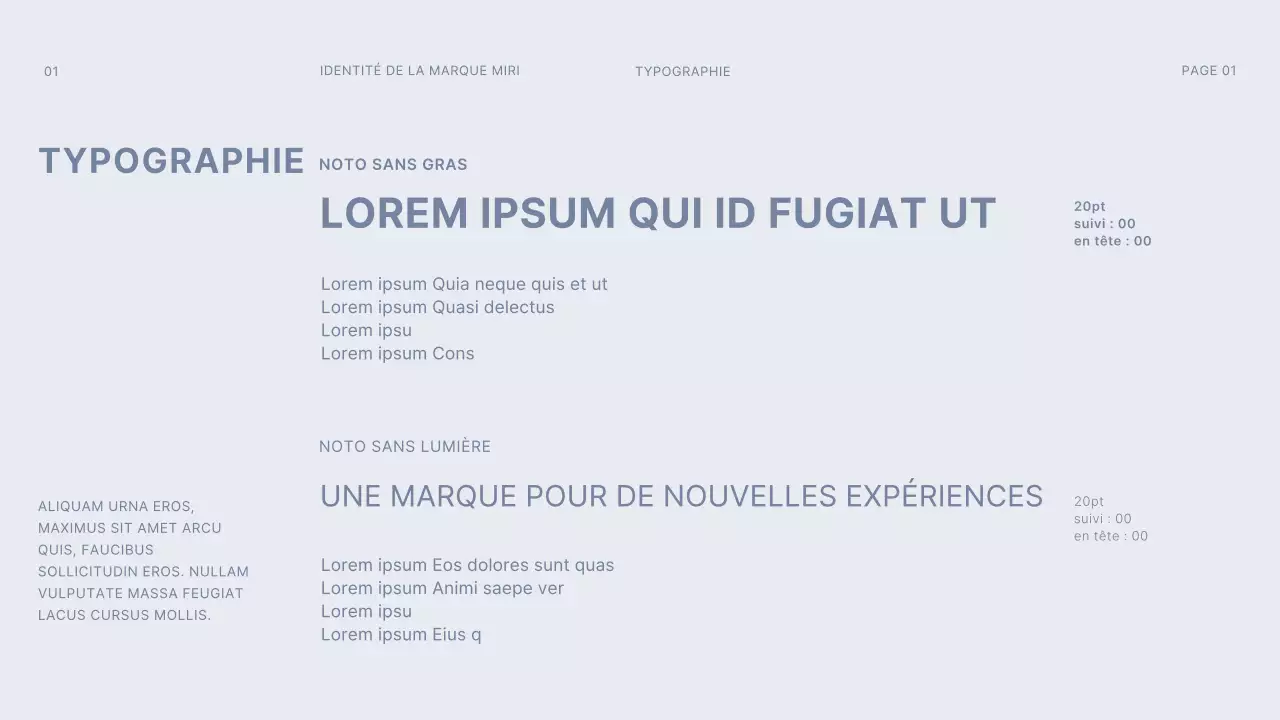gris foncé bleu clair gridconcept simple branding guideline