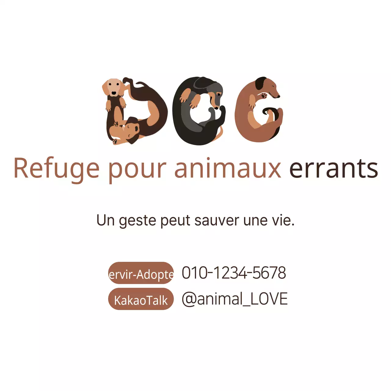 Centre de soins pour animaux errants