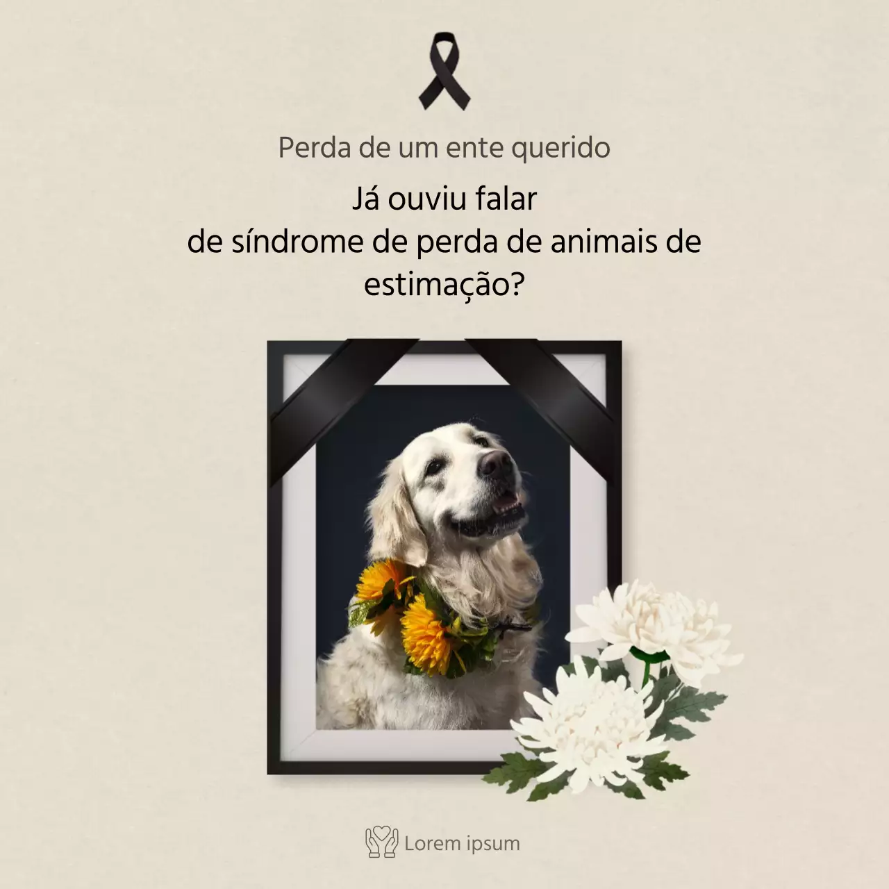 Texto limpo em marfimCartões para animais de estimaçãoNotícias
