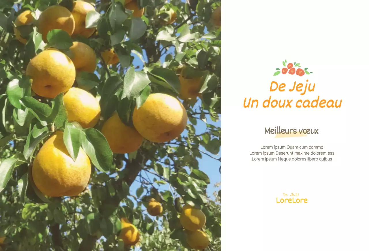Carte postale vendant des oranges jaunes de l'île de Jeju