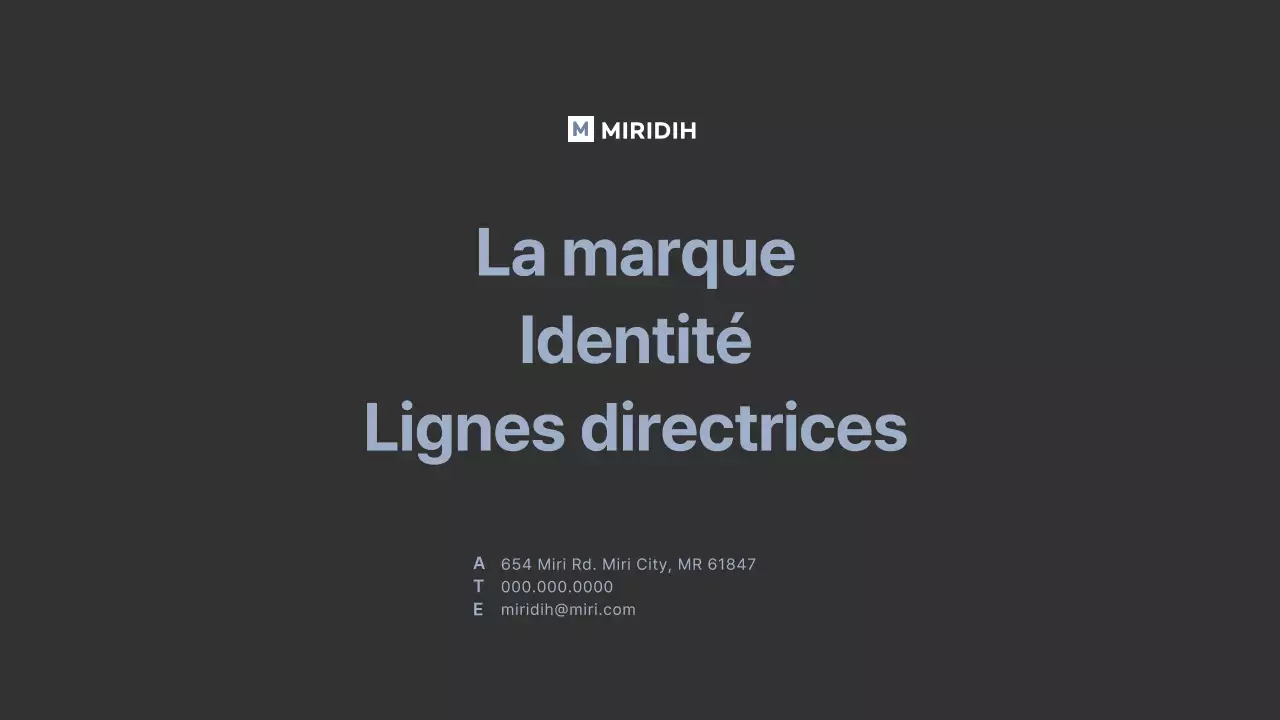 gris foncé bleu clair gridconcept simple branding guideline