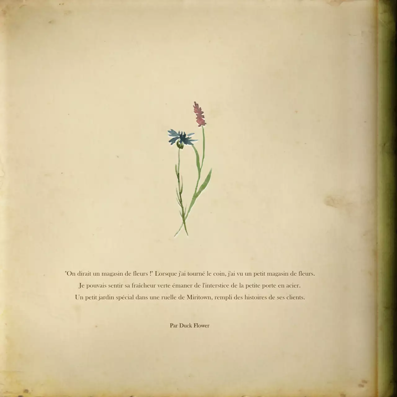 Pack émotionnel avec concept de livre de fiction en aquarelle blanc cassé et délavé