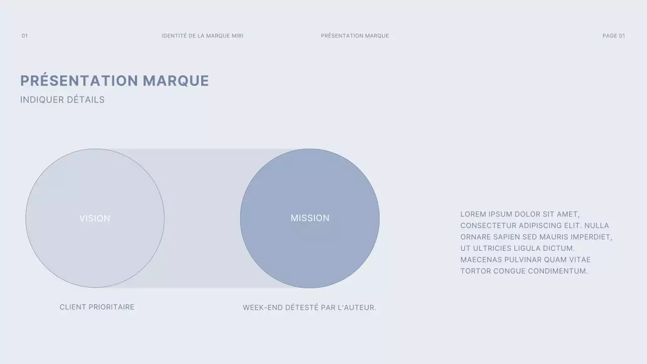 gris foncé bleu clair gridconcept simple branding guideline
