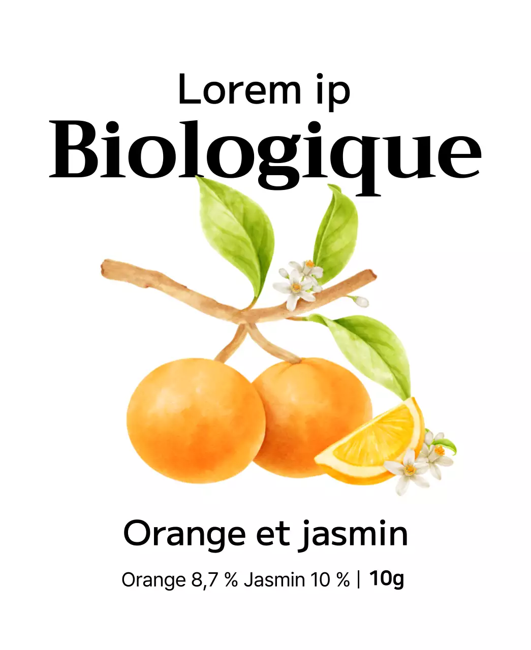 Sachets de thé aux fruits biologiques avec illustrations de fruits à l'aquarelle