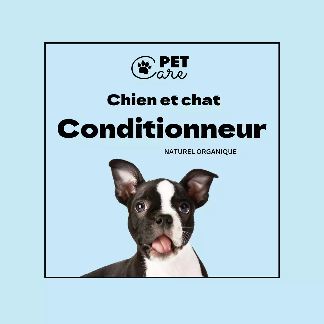 logo bleu clair photo étiquette simple pour animaux de compagnie