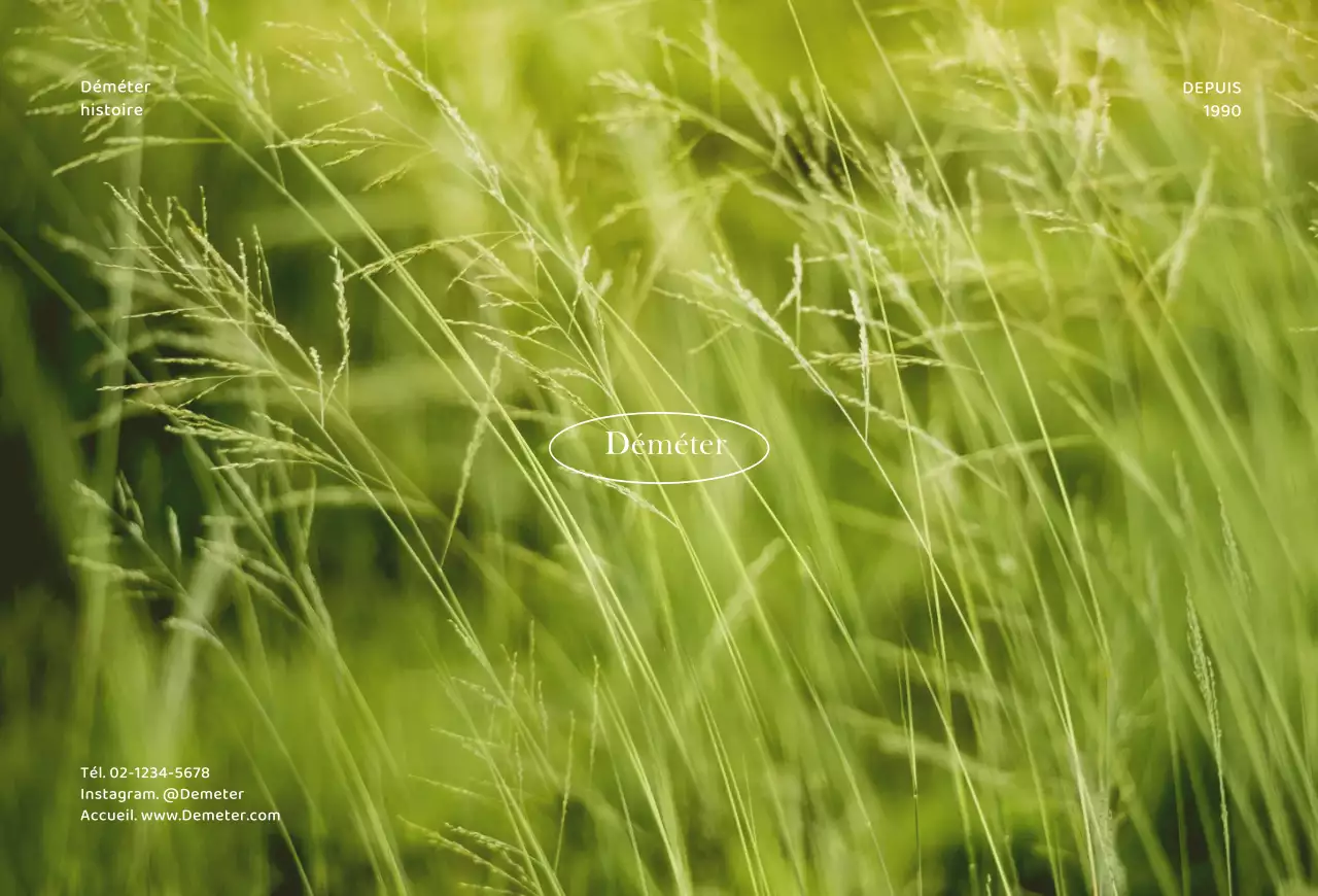 Carte avec arrière-plan photo simpleCarte postale