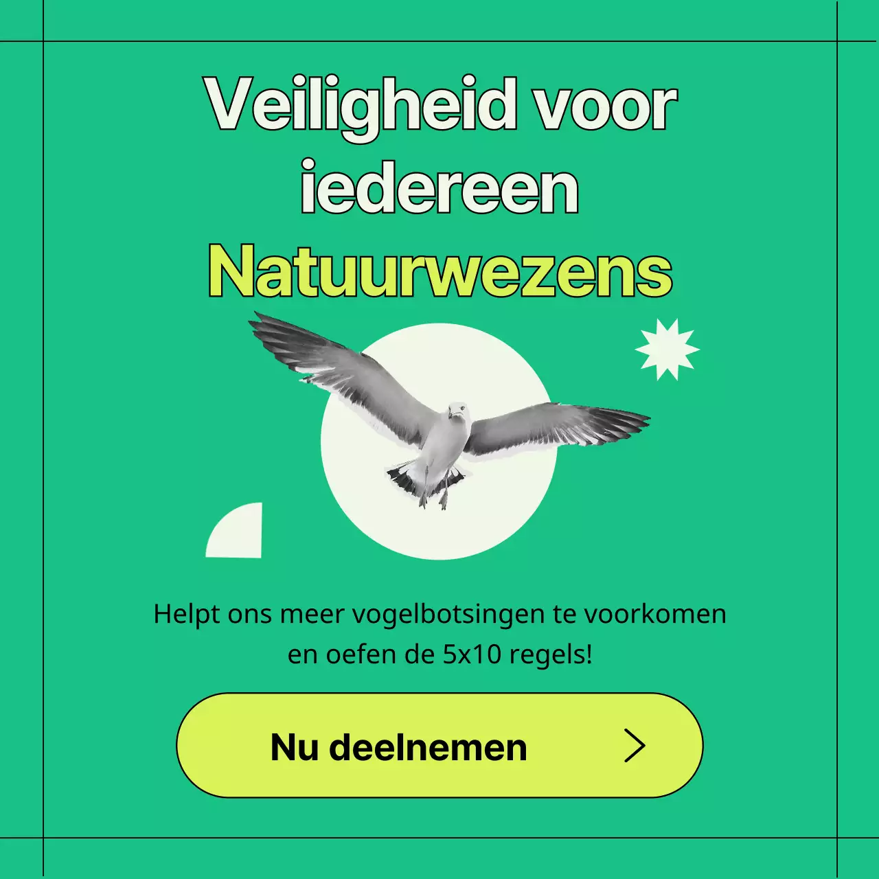 Groene en geometrische informatie ter voorkoming van botsingen met wilde vogels (Card News)