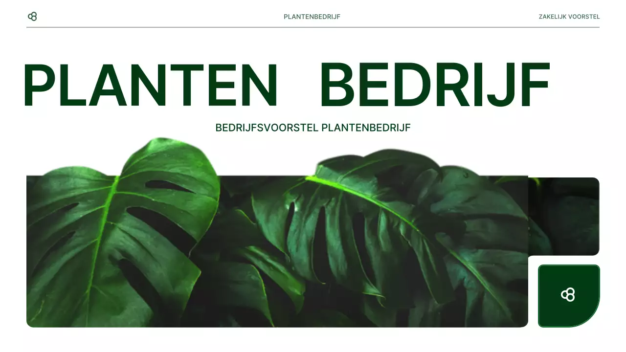 Zakelijk zakelijk voorstel in wit en groen natuurlijk bladconcept