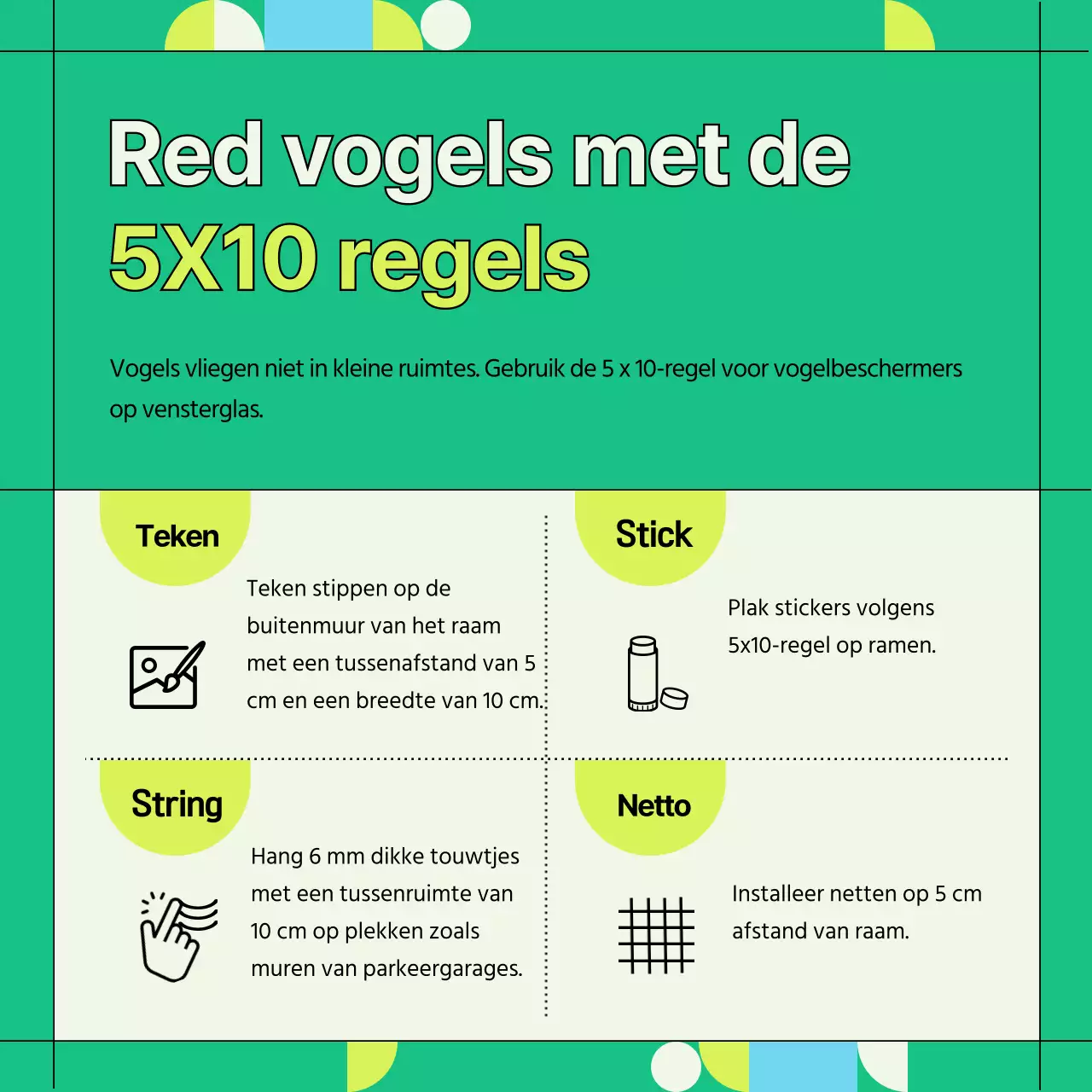 Groene en geometrische informatie ter voorkoming van botsingen met wilde vogels (Card News)