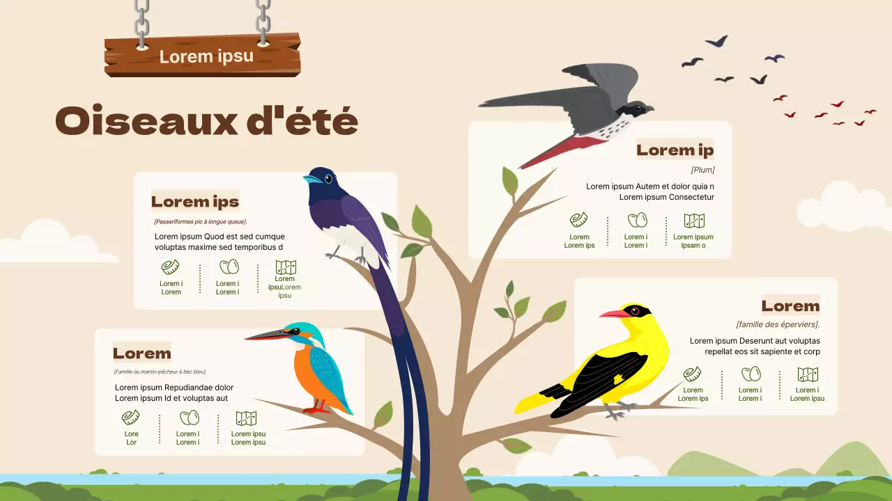 Illustrations d'oiseaux en marron Informations sur les oiseaux migrateurs d'été