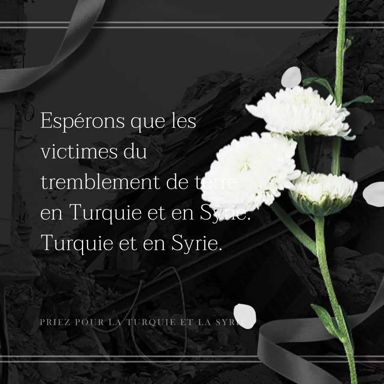 Les origines en noir et blanc de la récupération de la Syrie en Turquie