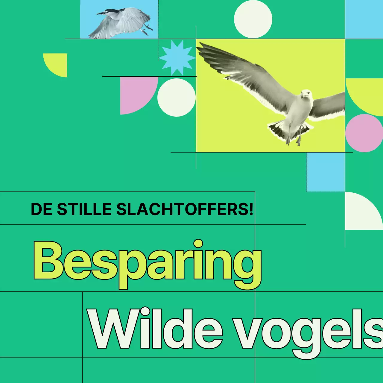 Groene en geometrische informatie ter voorkoming van botsingen met wilde vogels (Card News)