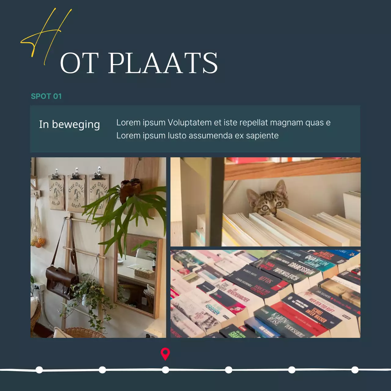 Een gids voor een moderne boekwinkel in marineblauw