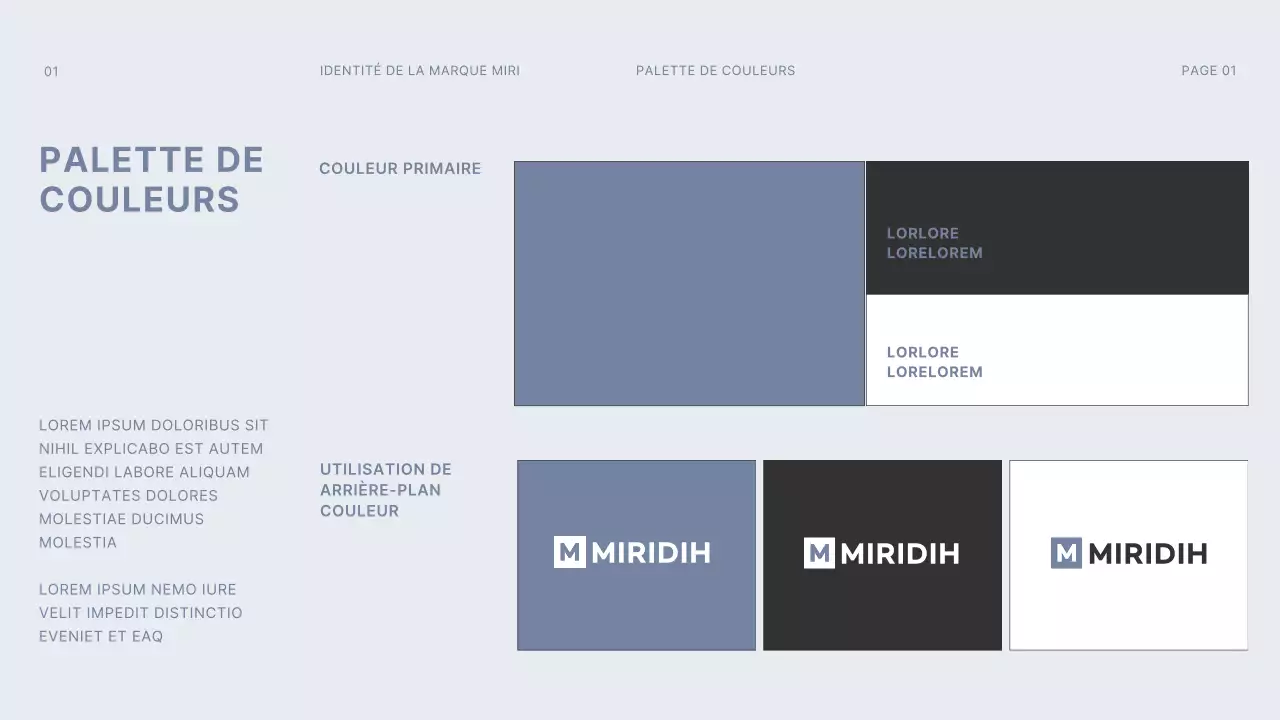gris foncé bleu clair gridconcept simple branding guideline
