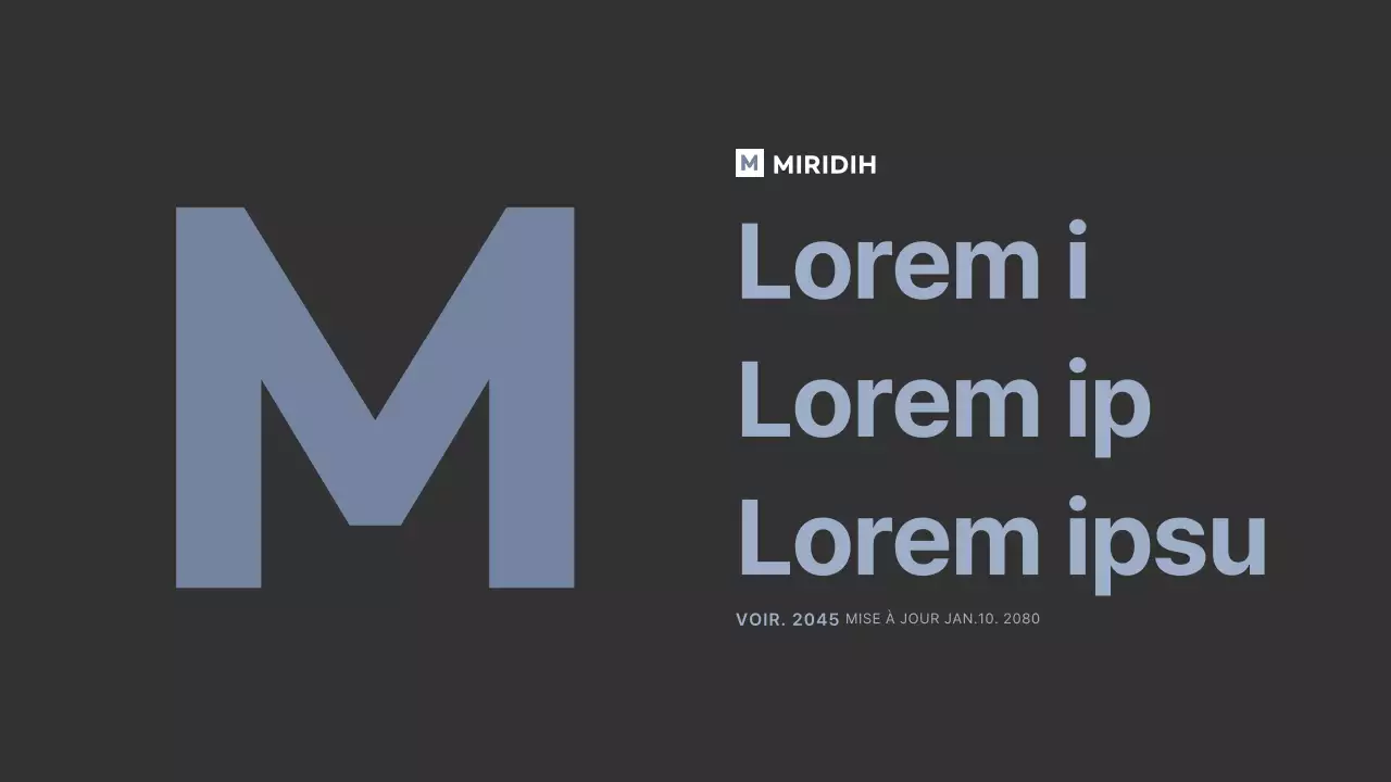 gris foncé bleu clair gridconcept simple branding guideline