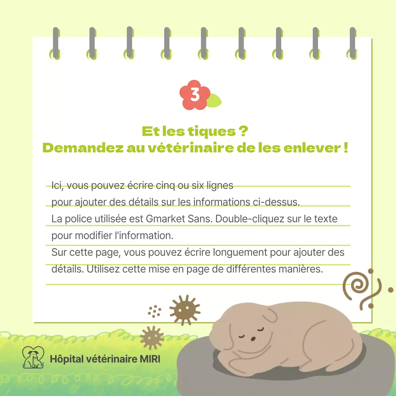 Conseils de santé printaniers pour les chiots aux couleurs pastel