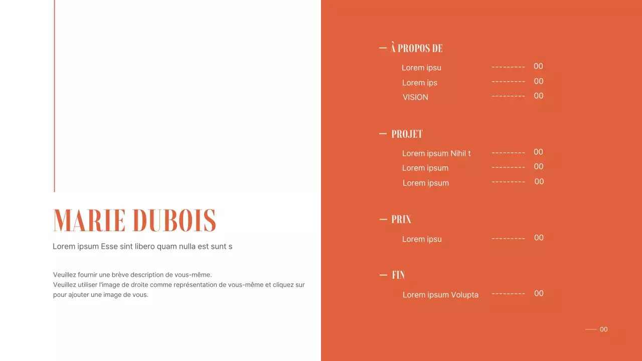 Un portfolio simple et organisé pour un étudiant universitaire en orange