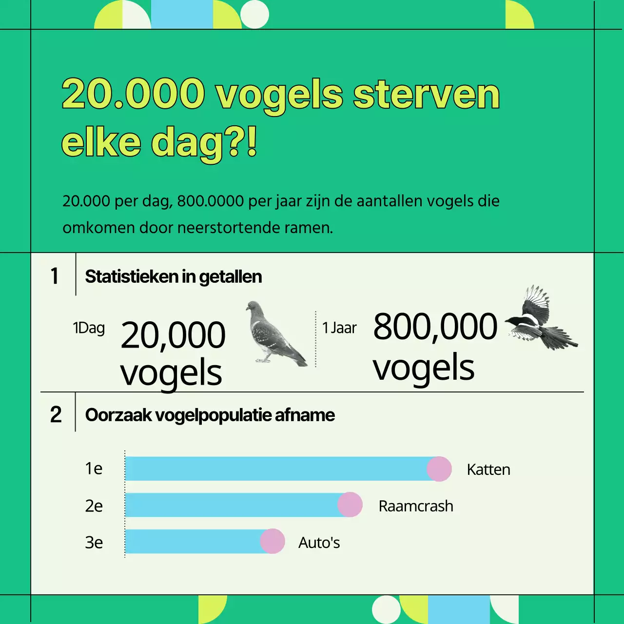 Groene en geometrische informatie ter voorkoming van botsingen met wilde vogels (Card News)