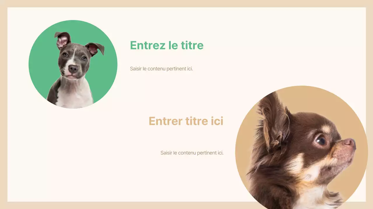 Présentation des animaux de compagnie