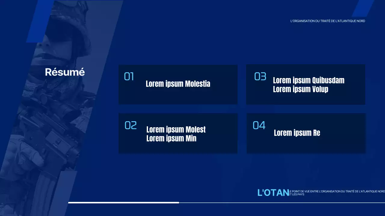 Présentation simple de l'Organisation du traité de l'Atlantique Nord en bleu