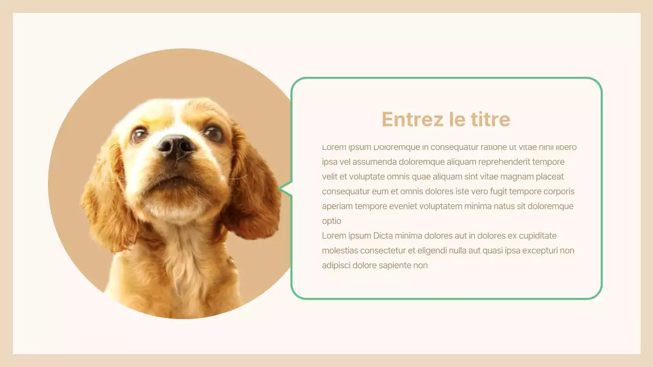 Présentation des animaux de compagnie