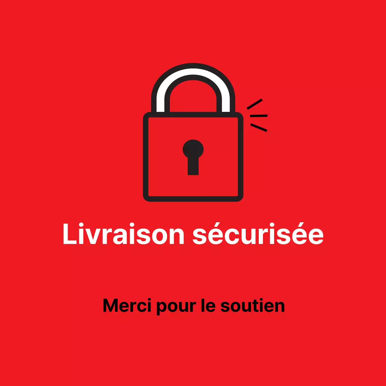 45212_Livraison sécurisée