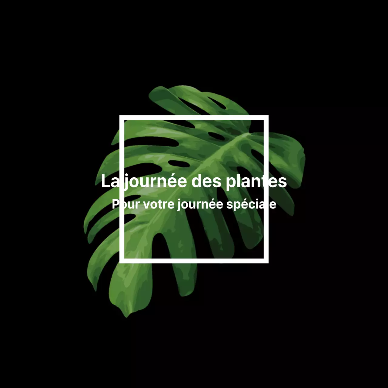 Le Jour des Plantes