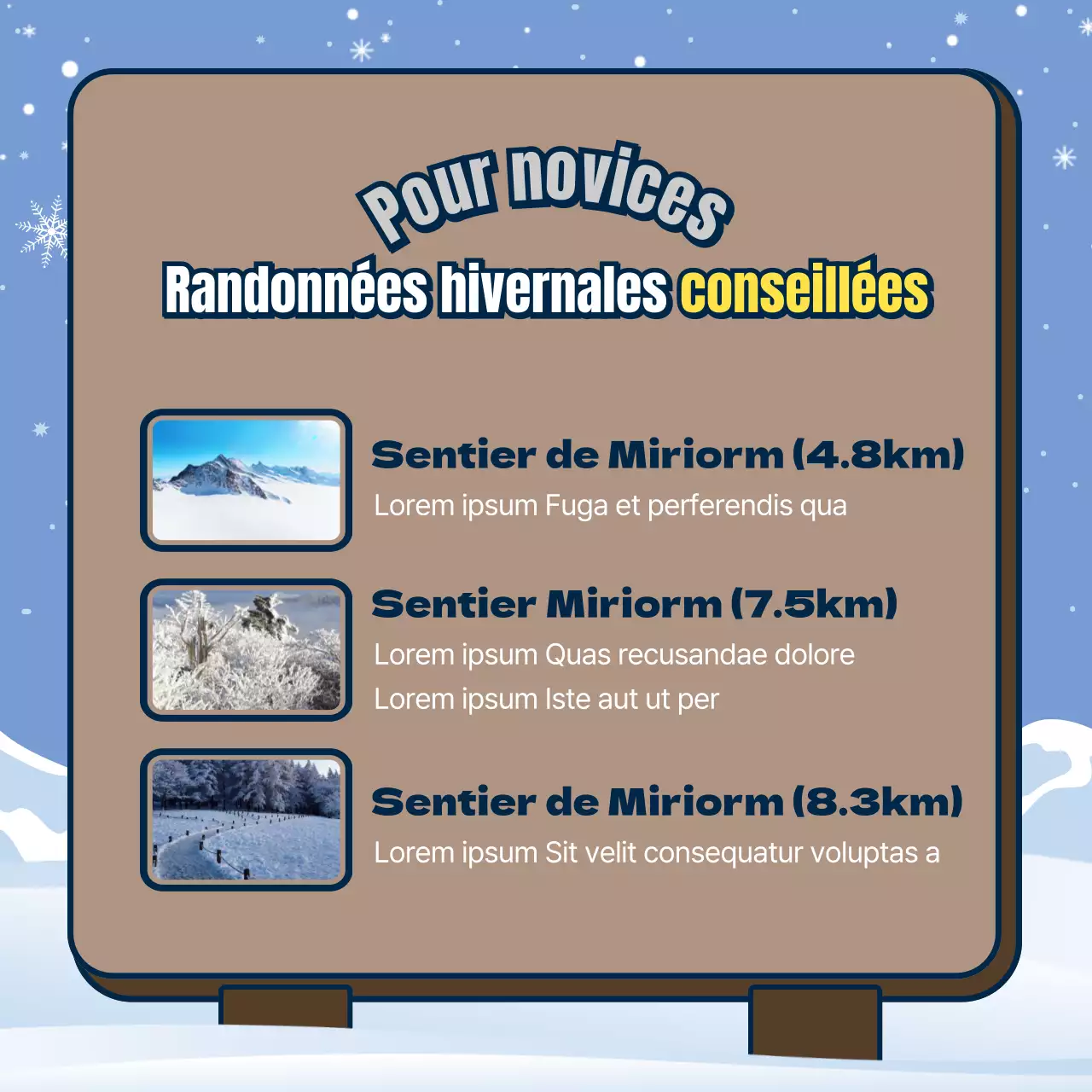 Sécurité en montagne en hiver avec des panneaux de couleur marron et bleu clair