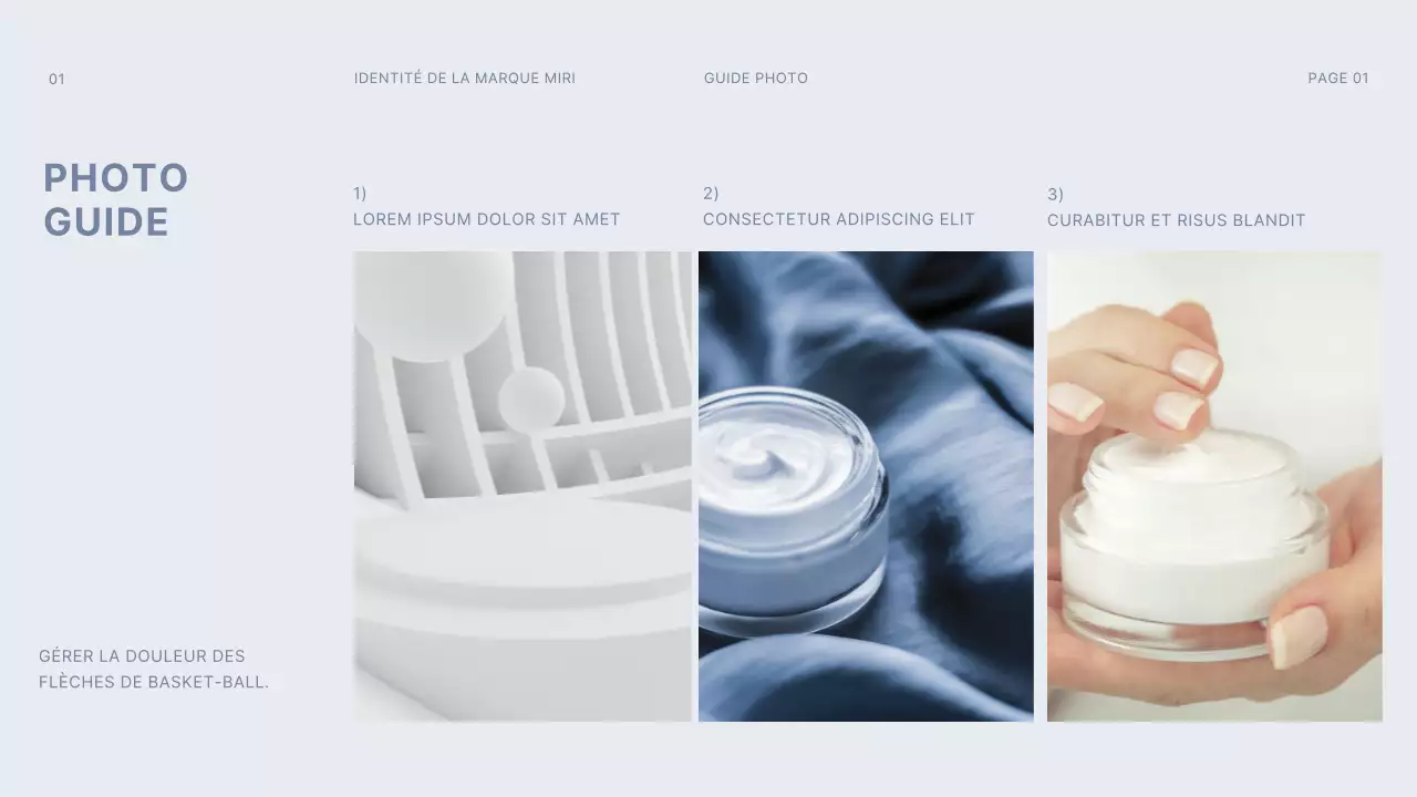 gris foncé bleu clair gridconcept simple branding guideline