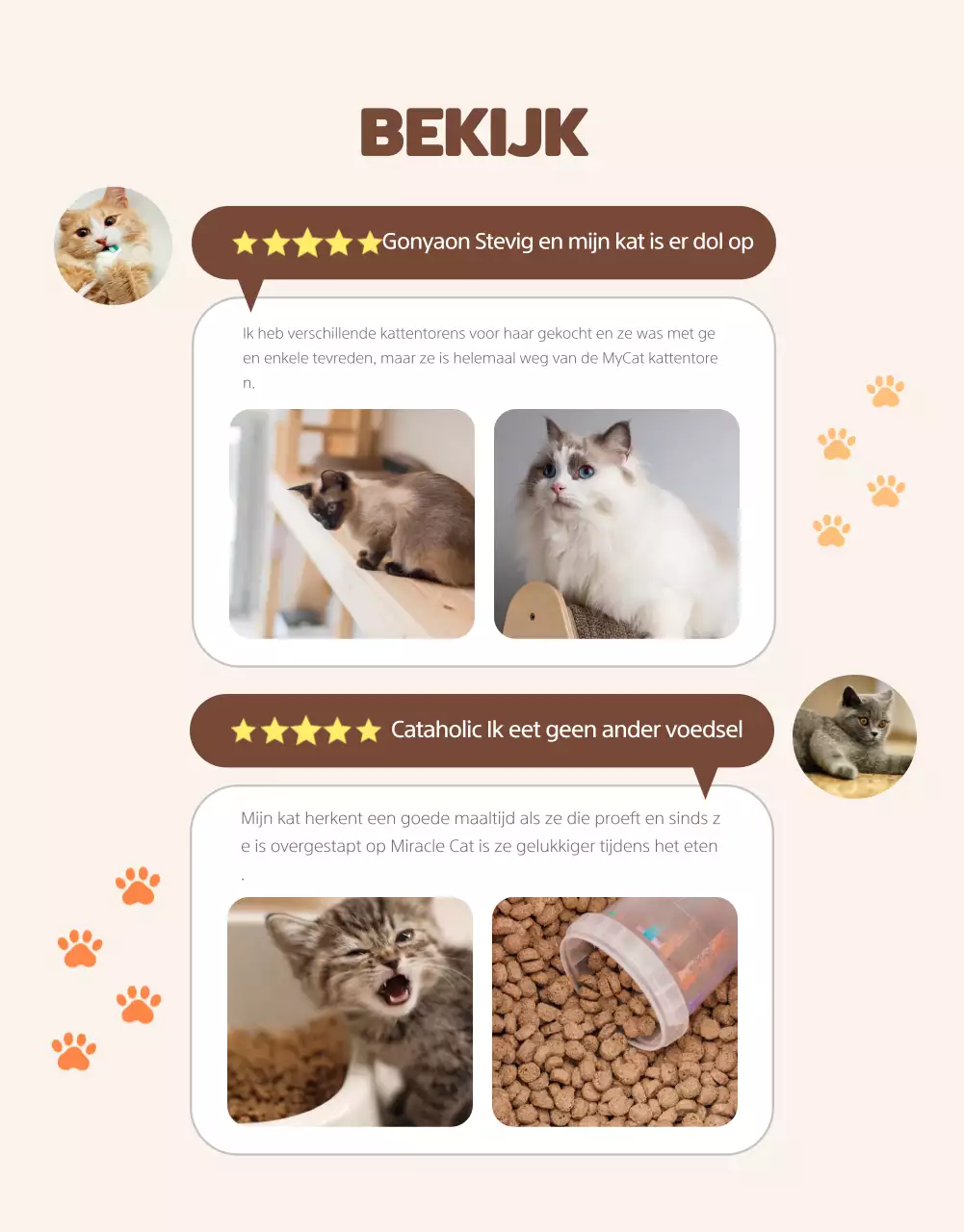 Een schattige en nette oranje kat te koop in een winkelcentrum