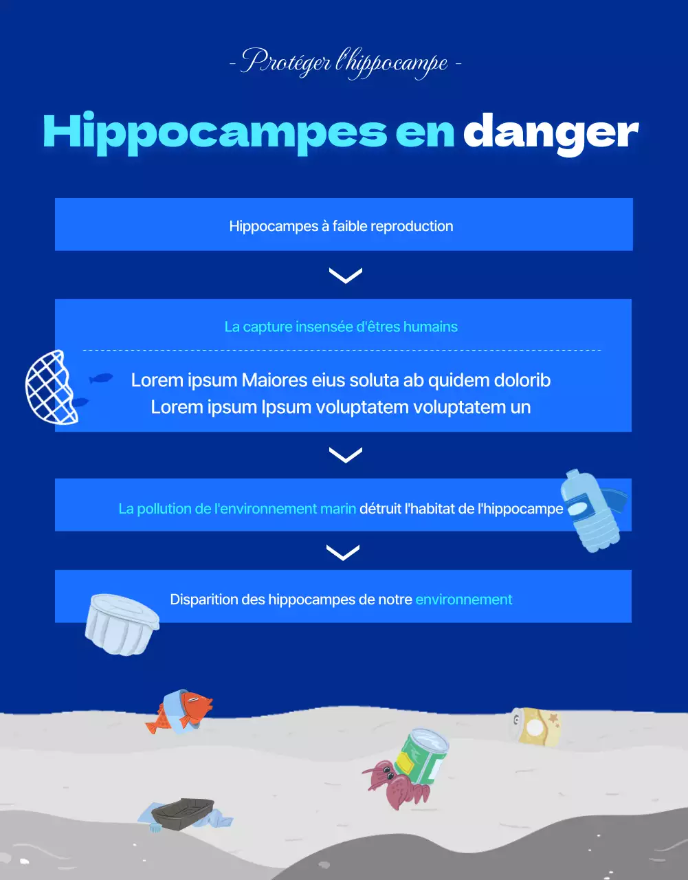 Hippocampes, la créature marine menacée dans l'eau bleue et fraîcheDétails sur le financement de la conservation des hippocampes